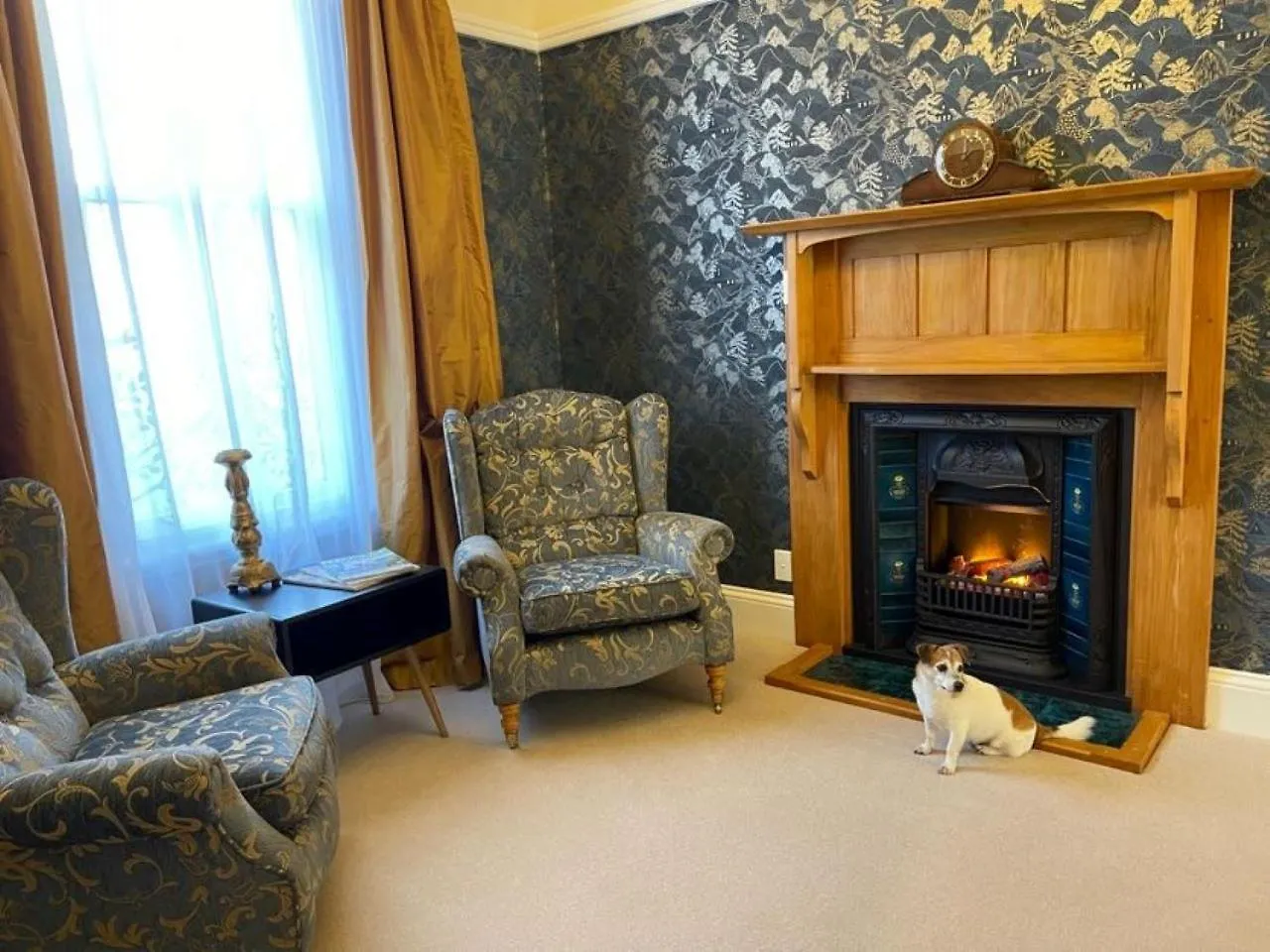 Plane Tree Villa Christchurch Bed & Breakfast