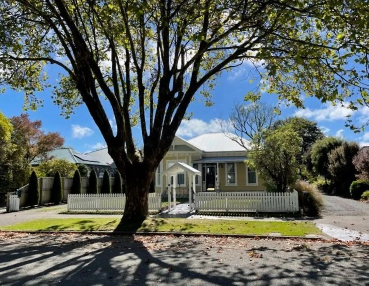 Plane Tree Villa Christchurch